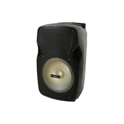 PAL10 Portable PA Unit with Bluetooth and LED FX